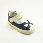 WEB0029 Azul F(1)