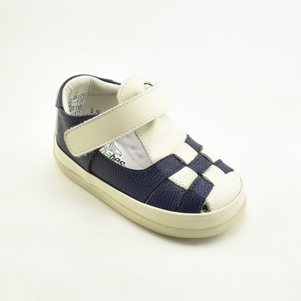 WEB0029 Azul F(1)